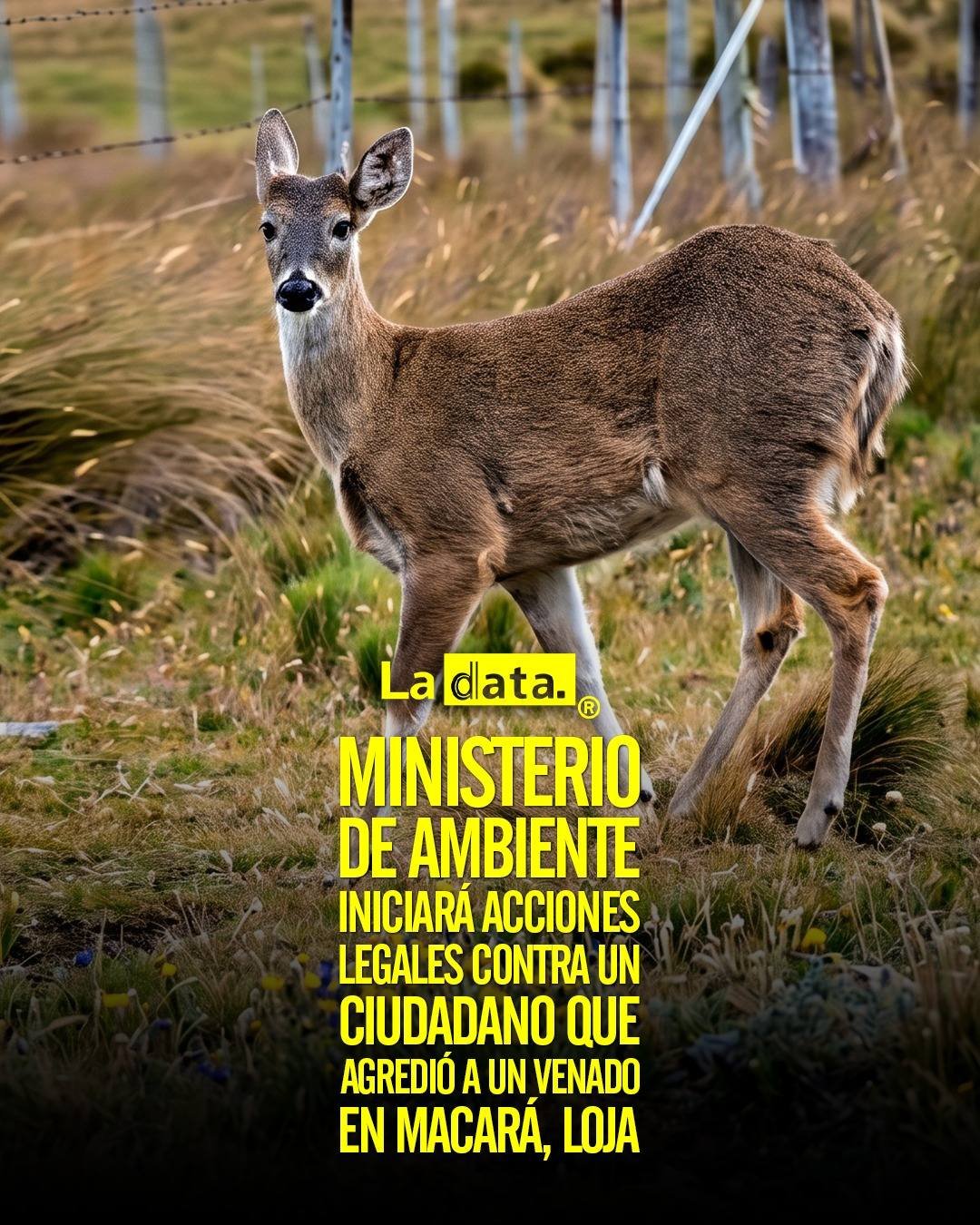 @ladataec  #ladata #TendenciaPolítica #MinisterioAmbiente #Fauna