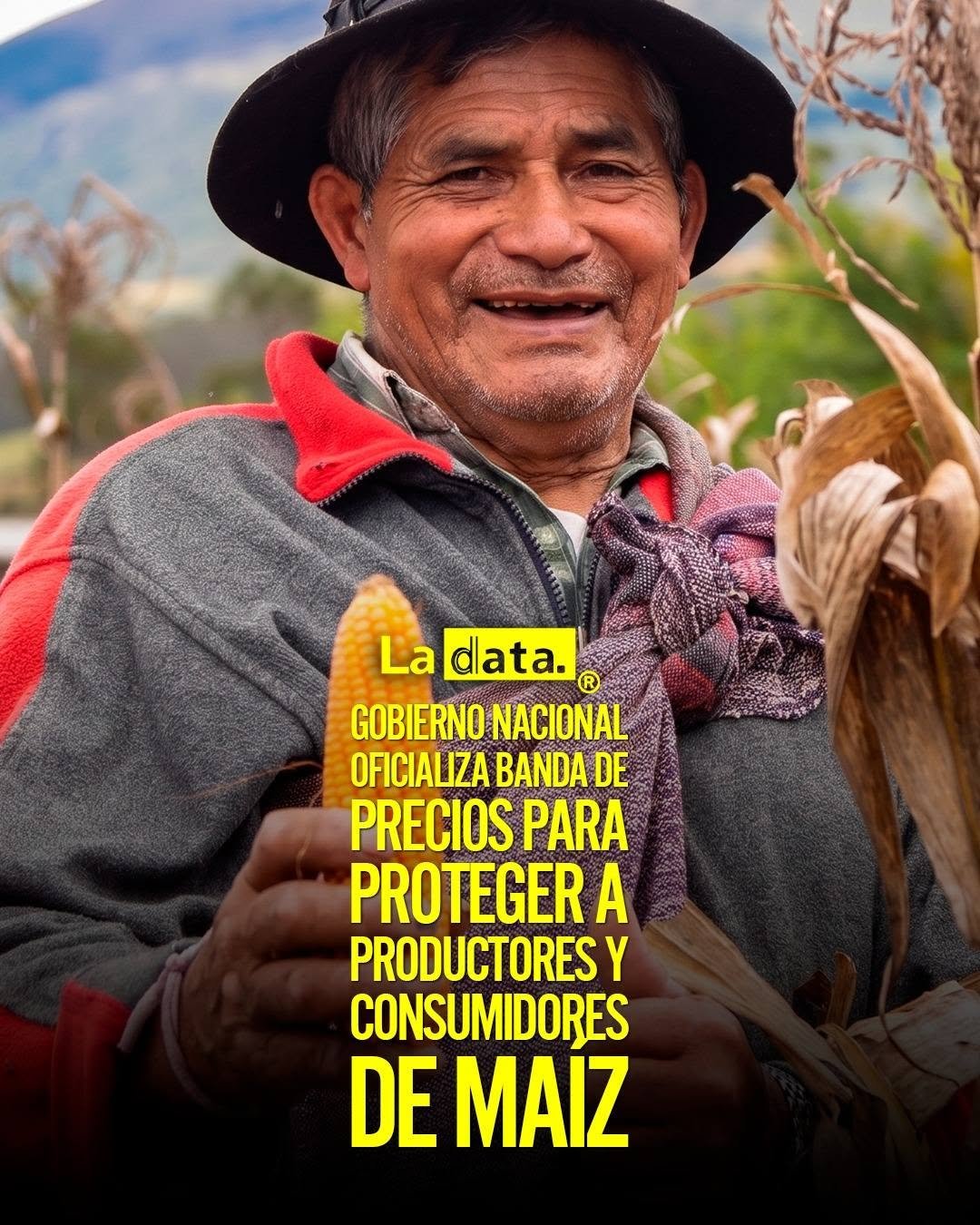 @ladataec 👈 #ladata #TendenciaPolítica #GobiernoNacional #PreciosMaíz