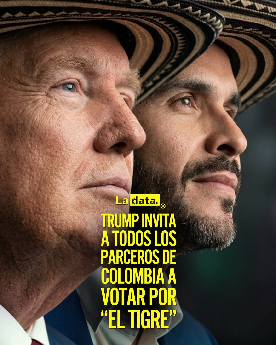 La Data 👈