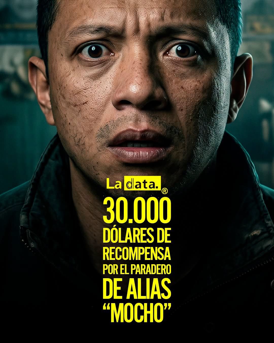 @ladataec👈 #ladata #TendenciaPolítica  #Seguridad #Ecuador