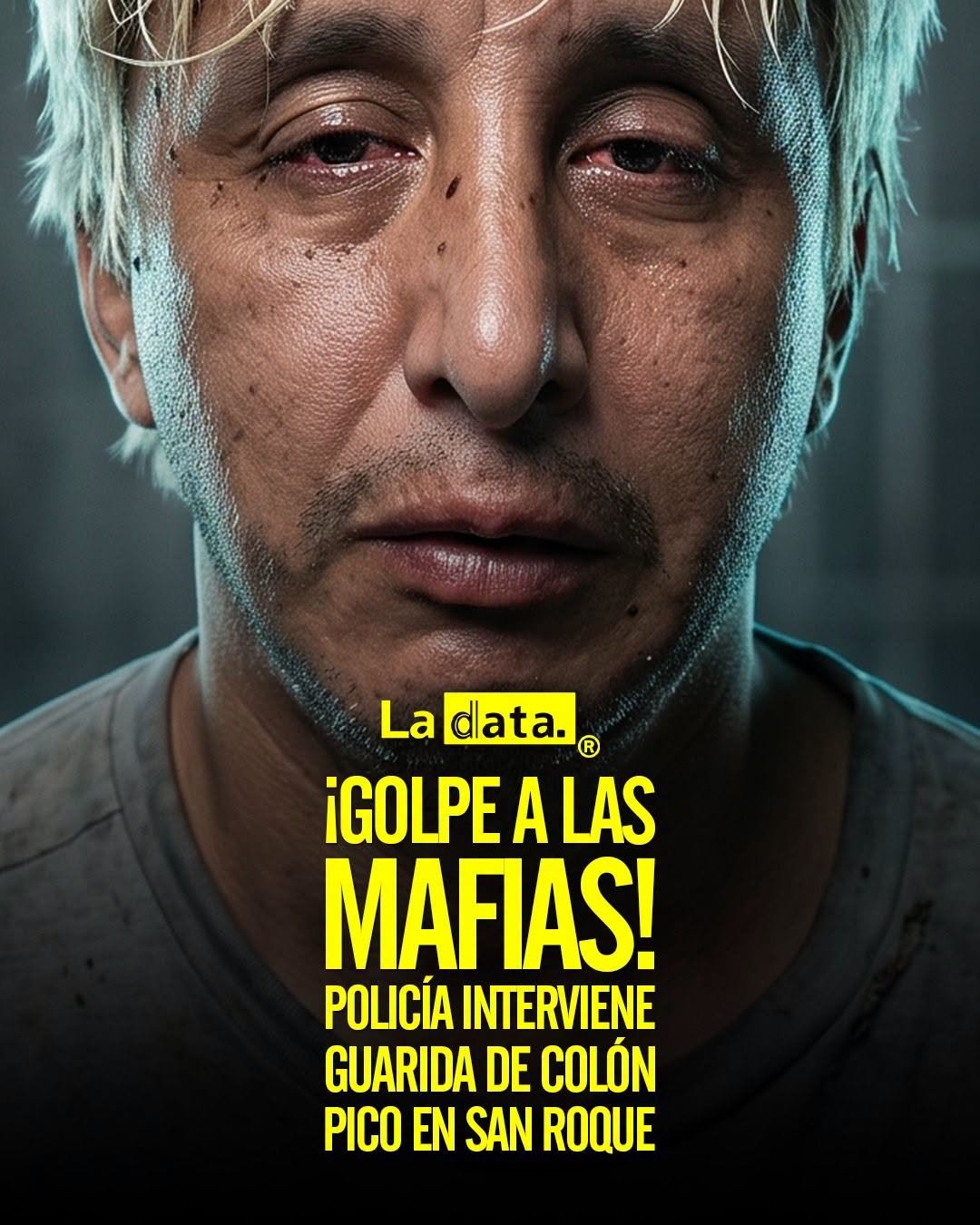 @ladataec👈  #ladata #TendenciaPolítica #Quito #Seguridad