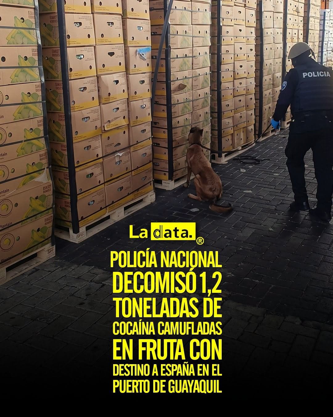 @ladataec 👈 ‎ ‎#ladata #TendenciaPolítica #PolicíaNacional #Guayaquil