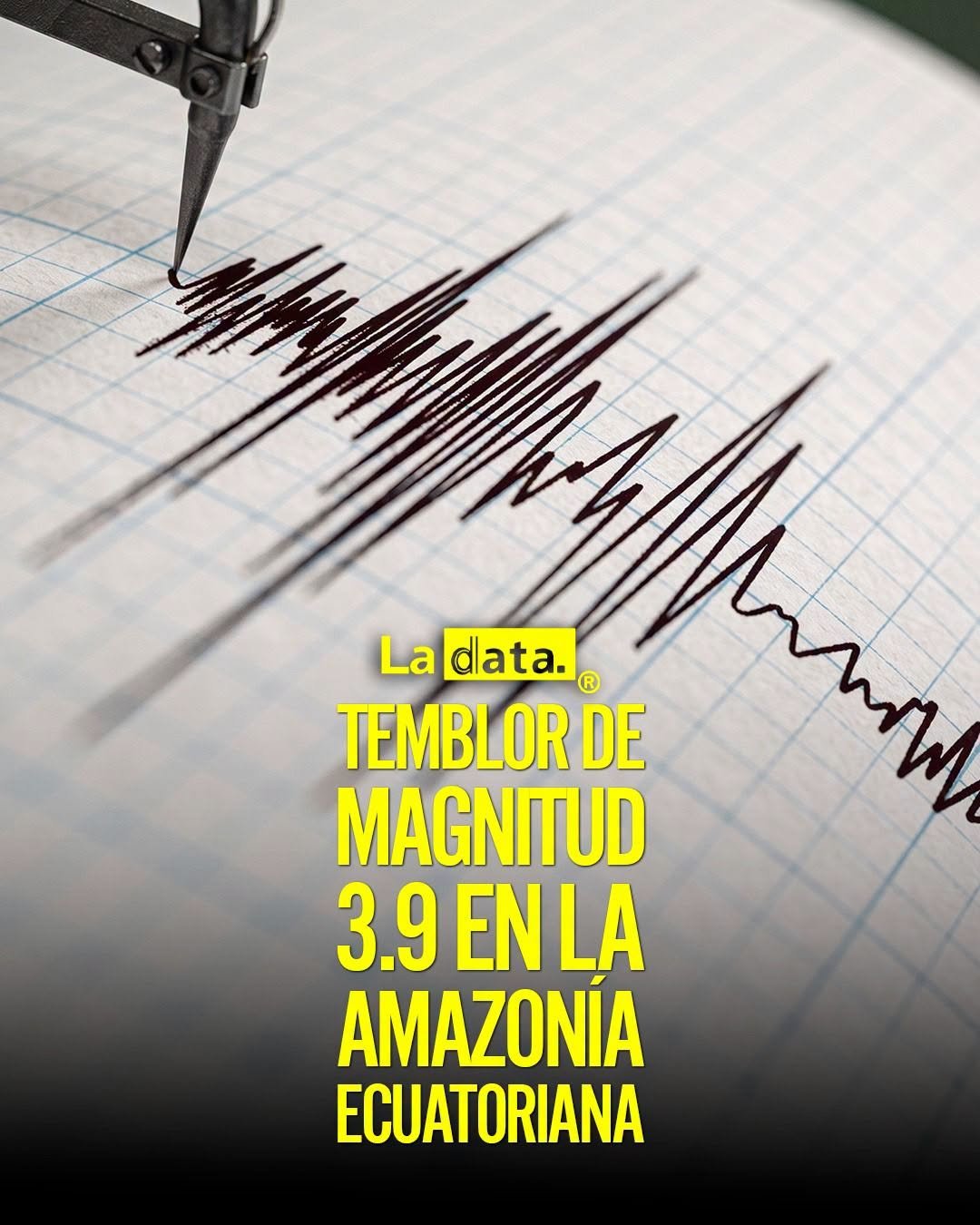 @ladataec👈 #LaData #TendenciaPolitica #Temblor #Ecuador